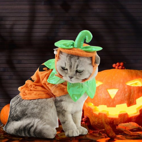 1431895168861.jpg Halloween Pet Cats Costume Props Creative Pumpkin