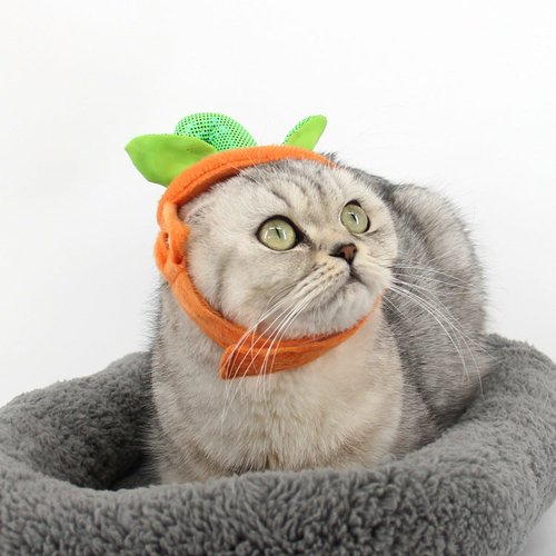 1485836489463.jpg Halloween Pet Cats Costume Props Creative Pumpkin