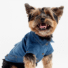 👖 Dusten Denim Dog Jacket – Stylish Distressed Jean Jacket with Poop