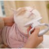 Cats Wool Pet Hair Deshedding Brush Set Comb