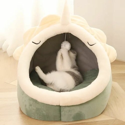 2_2c9f566e-eabf-414e-9120-c716ed29b07b.jpg Adorable Dinosaur Pet House with Toy