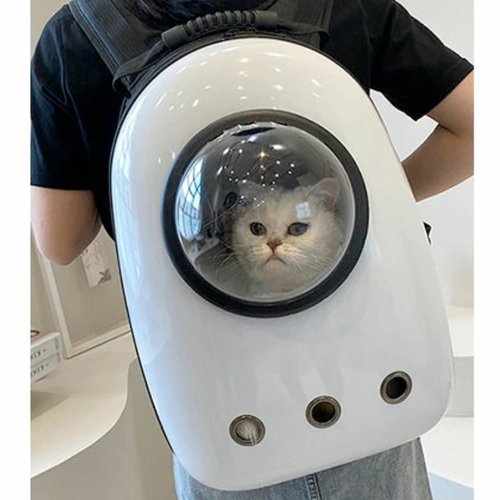 2_90e62f5d-41fe-4869-ae13-0087c0c4c35f.jpg Pet Hardshell Traveling Backpack