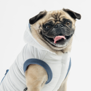 ❄️ Noah Dog Jacket – Quilted Water-Resistant Winter Coat with Harness