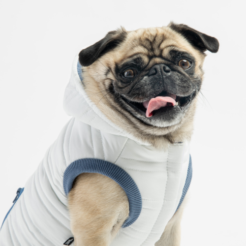 ❄️ Noah Dog Jacket – Quilted Water-Resistant Winter Coat with Harness