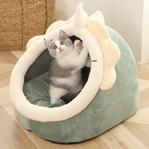 3_6cc3ffe1-7ed2-41db-8f63-9b542a8536e5.jpg Adorable Dinosaur Pet House with Toy