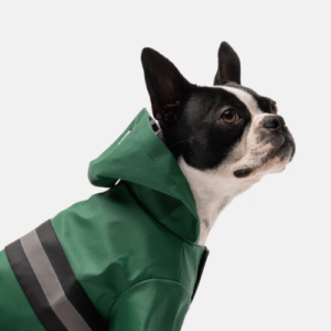 ☔ Aden Waterproof Dog Raincoat – Green Vinyl Rain Jacket with