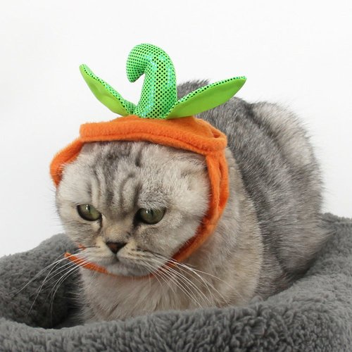 695633622238.jpg Halloween Pet Cats Costume Props Creative Pumpkin