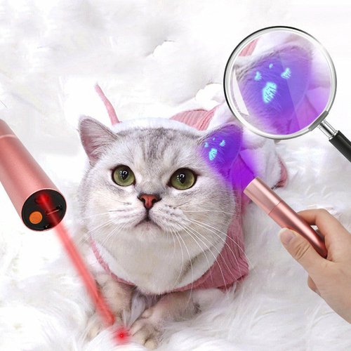 6991976058288.jpg 2 in 1 Cat Detection Lamp Laser Funny Cat Stick Test Pen
