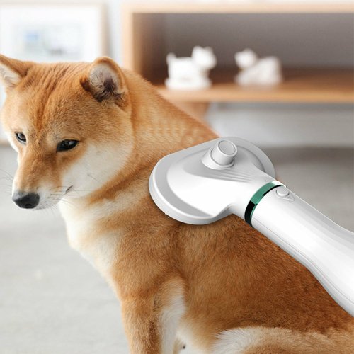 7326c4f1-2d5c-4bc0-92db-f8059aaadf99.jpg Pet Comb Hair Dryer