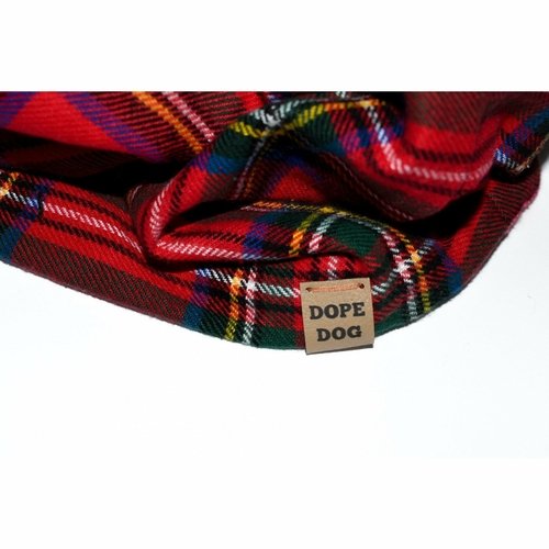 DSC_2955-2.jpg Apple Crumble - Dog Scarf