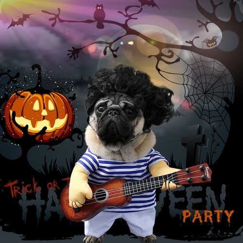 Funny-Pet-Guitar-Player-Cosplay-Dog-Costume-Guitarist-Dressing-Up-Party-Halloween-New-Year-Clothes-For-4.jpg Funny Pet Guitar Player Cosplay Dog Costume