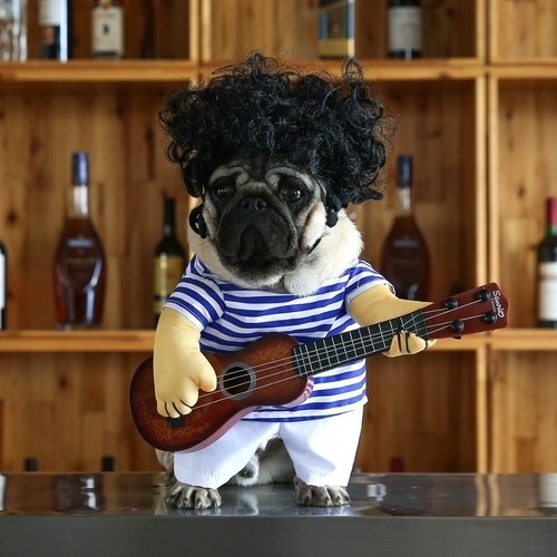 Funny-Pet-Guitar-Player-Cosplay-Dog-Costume-Guitarist-Dressing-Up-Party-Halloween-New-Year-Clothes-For.jpg Funny Pet Guitar Player Cosplay Dog Costume
