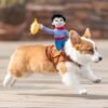 Puppy Cowboy Outfit