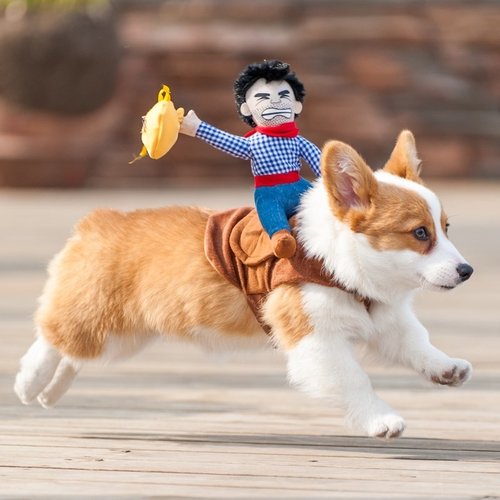 data-3.jpg Puppy Cowboy Outfit