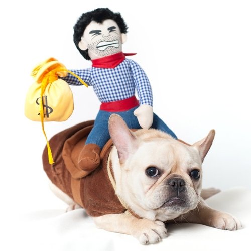 data-4.jpg Puppy Cowboy Outfit