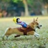Puppy Cowboy Outfit