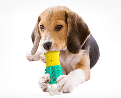 df84569a-f9a5-4d21-b779-e060d2544c19.png Summer Cooling Cleaning Care Teeth Pet Chewing Supplies