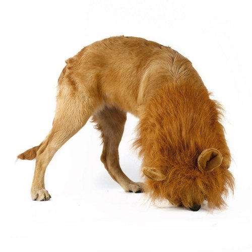 product-image-1342042482.jpg Lion Theme Dog Wig