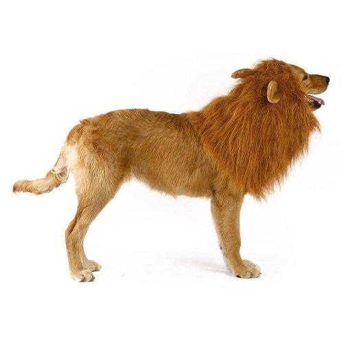 product-image-1342042484.jpg Lion Theme Dog Wig
