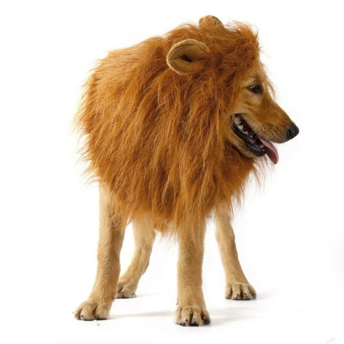 product-image-1842642356.jpg Lion Theme Dog Wig